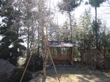 画像：登米市出身の国民的歌手・門脇陸男氏自作の東屋と移植した枝垂れ桜
