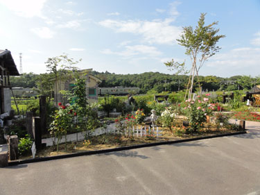 画像：ガーデンデザイン・大柳庭苑の洋風庭園の造園作例・ケース01 登米市　ぽっぽやとガーデニング好きの夢を叶える庭