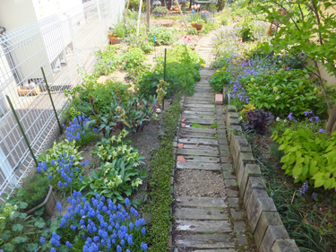 画像：ガーデンデザイン・大柳庭苑の造園例　登米市迫町エントランス　リフォーム前